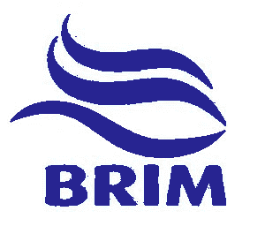Brim_logo-300x256_recolored